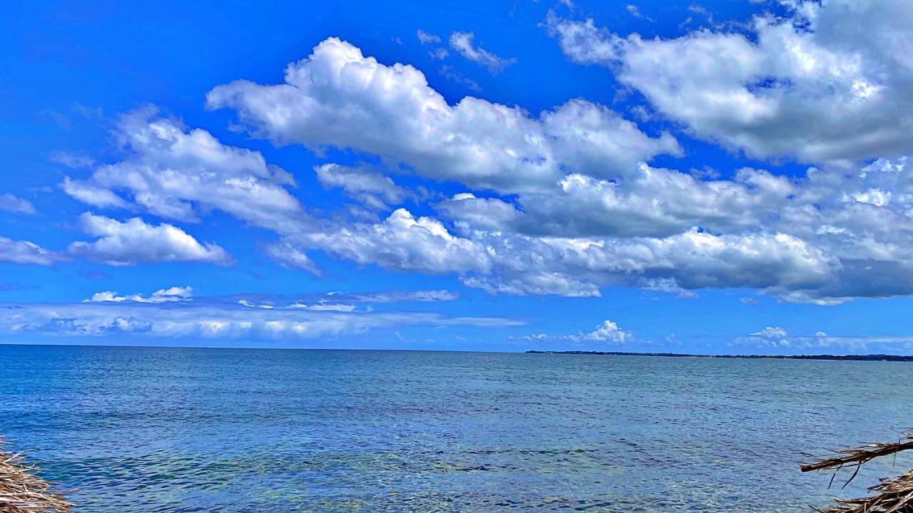 Oceanfront Condo W/ Free Parking + High Speed Wifi Negril Ngoại thất bức ảnh
